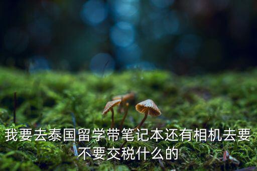 泰國什么人需要納稅，我要去泰國留學(xué)帶筆記本還有相機(jī)去要不要交稅什么的
