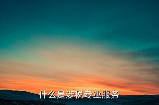 涉稅專業(yè)服務(wù)機(jī)構(gòu) 包括什么，什么是涉稅專業(yè)服務(wù)