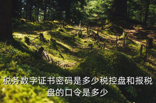 稅務數字證書密碼是多少稅控盤和報稅盤的口令是多少