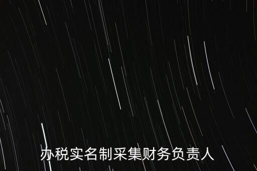 辦稅實名制采集財務負責人