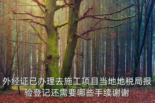 外管證報(bào)驗(yàn)都需要什么，辦了外管證咋申報(bào)