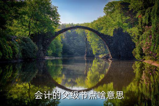 發(fā)票父節(jié)點(diǎn)是什么意思，會(huì)計(jì)的父級(jí)節(jié)點(diǎn)啥意思