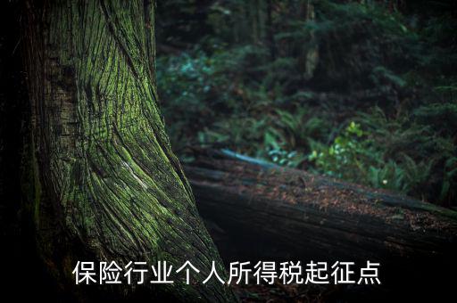 保險(xiǎn)行業(yè)入交什么稅，保險(xiǎn)行業(yè)個(gè)人所得稅起征點(diǎn)