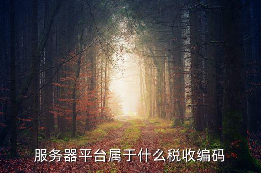稅收服務編碼是什么，什么是稅收編碼