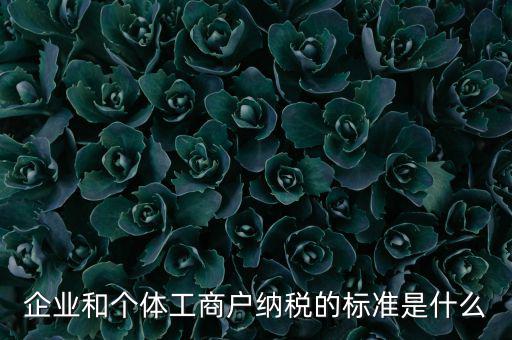 企業(yè)和個(gè)體工商戶(hù)納稅的標(biāo)準(zhǔn)是什么