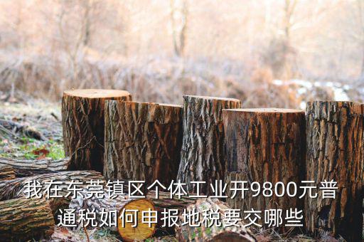 四稅一費是什么，我在東莞鎮(zhèn)區(qū)個體工業(yè)開9800元普通稅如何申報地稅要交哪些