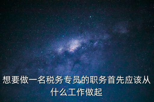 稅務專員是做什么的，稅務坐席專員做什么