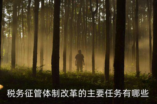 稅務(wù)系統(tǒng)的業(yè)務(wù)改革都有什么，稅務(wù)征管體制改革的主要任務(wù)有哪些