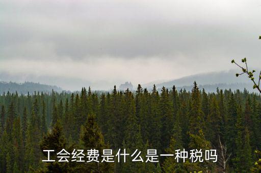 工會稅是什么，精靈樂章 工會抽稅是什么意思要詳細(xì)的