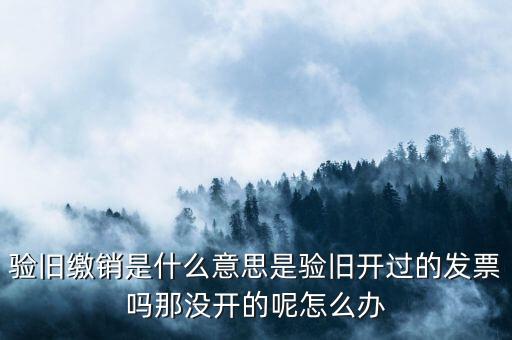 發(fā)票驗(yàn)舊繳銷是什么意思，發(fā)票驗(yàn)舊是什么意思