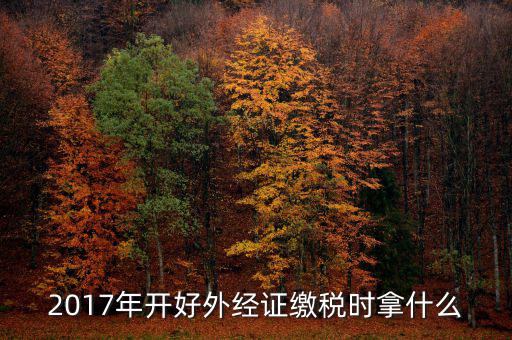 2017年開好外經證繳稅時拿什么