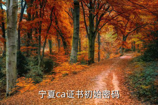 ca的默認密碼是什么意思，ca口令是什么