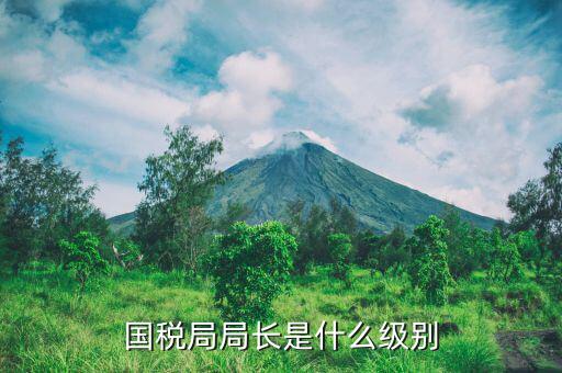 長(zhǎng)春市國(guó)稅局局長(zhǎng)什么級(jí)別，地級(jí)市的國(guó)稅局局長(zhǎng)是什么干部