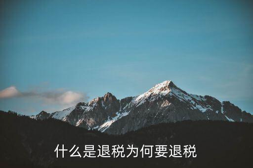 什么事退稅指標(biāo)，什么是退稅為何要退稅