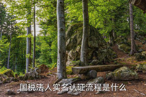 稅務(wù)實(shí)名認(rèn)證需要什么，在國稅局辦理實(shí)名認(rèn)證要準(zhǔn)備哪些資料