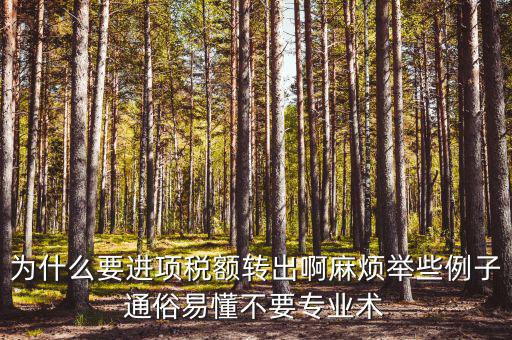 為什么要進(jìn)項稅額轉(zhuǎn)出，為什么要進(jìn)項稅額轉(zhuǎn)出啊麻煩舉些例子通俗易懂不要專業(yè)術(shù)