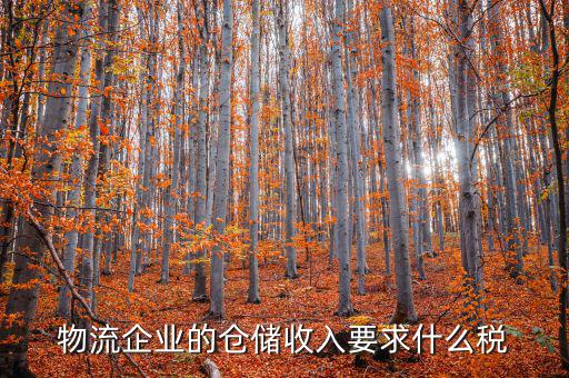 倉儲物流公司繳納什么稅，我是會計新手 請問各位師傅們物流公司應(yīng)繳納什么稅