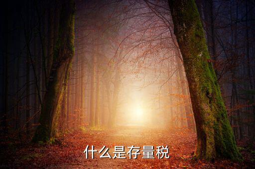 稅務(wù)存量戶指什么，稅務(wù)登記證轉(zhuǎn)非是什么意思