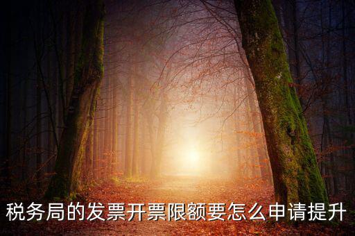 提高開(kāi)票限額申請(qǐng)需要什么資料，去稅務(wù)局增大公司的開(kāi)票限額需要帶些什么我公司第一次開(kāi)票去申