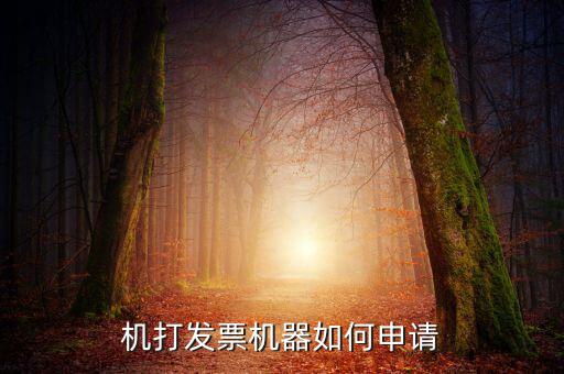 機(jī)打發(fā)票機(jī)器如何申請