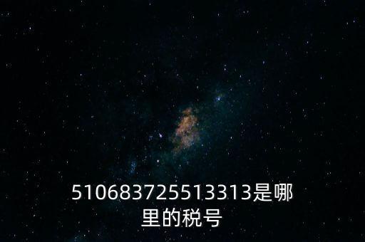 陜西省地方的稅號(hào)開頭是什么，510683725513313是哪里的稅號(hào)