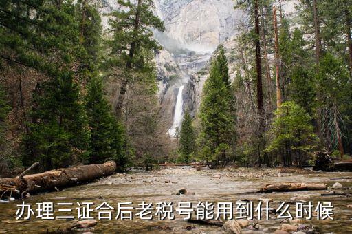 河南老稅號可以用到什么時候，三證合一后舊稅號的發(fā)票還能用嗎