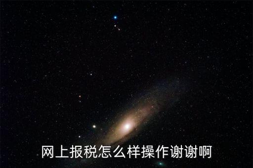 福建企業(yè)在什么網(wǎng)站報(bào)稅，網(wǎng)上報(bào)稅怎么樣操作謝謝啊
