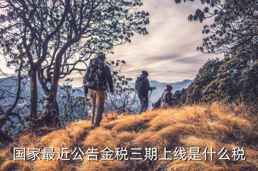 金稅三期從什么上線，國家最近公告金稅三期上線是什么稅