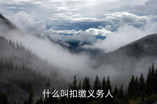 扣繳義務(wù)人公章是什么，公章是什么
