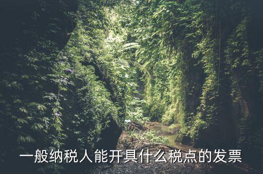 一般納稅人領(lǐng)什么發(fā)票，一般納稅人企業(yè)能開具和使用什么類型的發(fā)票