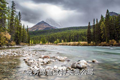 稅務(wù)局看重什么特長(zhǎng)，稅務(wù)局面試特長(zhǎng)怎么寫(xiě)