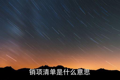 增值稅報稅清單是什么意思，發(fā)票清單是什么