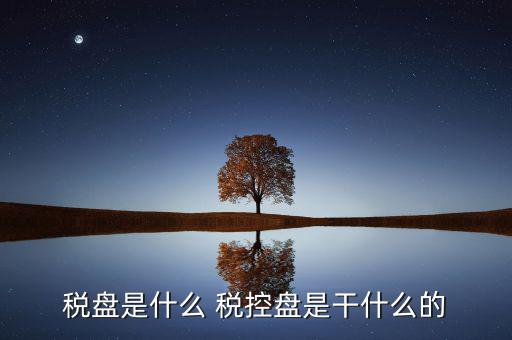 中稅協(xié)安全盤是什么，稅盤是什么 稅控盤是干什么的