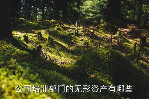 其他權(quán)益性無(wú)形資產(chǎn)是什么，無(wú)形資產(chǎn)屬于什么科目