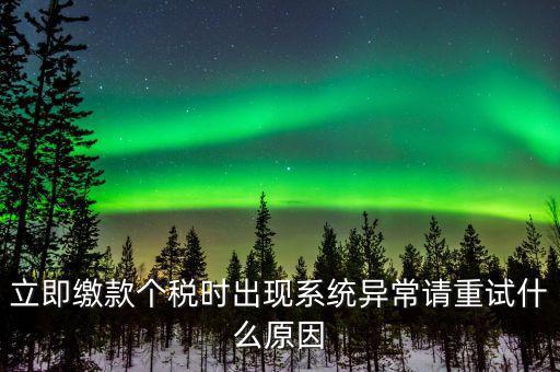 銀聯(lián)在線繳稅異常是什么原因，立即繳款個(gè)稅時(shí)出現(xiàn)系統(tǒng)異常請重試什么原因