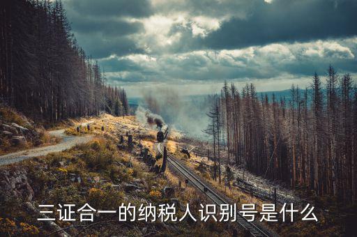 三證合一的稅號(hào)是什么，三證合一的納稅人識(shí)別號(hào)是什么