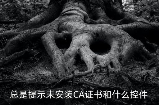 ca控件是什么意思，您是地稅CA用戶但未安裝企業(yè)CA控件為不影響申報功能正常使用請點