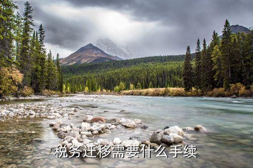 國(guó)稅數(shù)據(jù)遷移是什么，一般納稅人國(guó)稅遷出遷入需要哪些資料