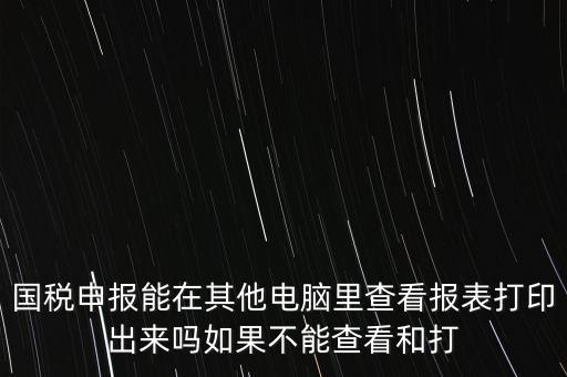 國(guó)稅申報(bào)能在其他電腦里查看報(bào)表打印出來(lái)嗎如果不能查看和打
