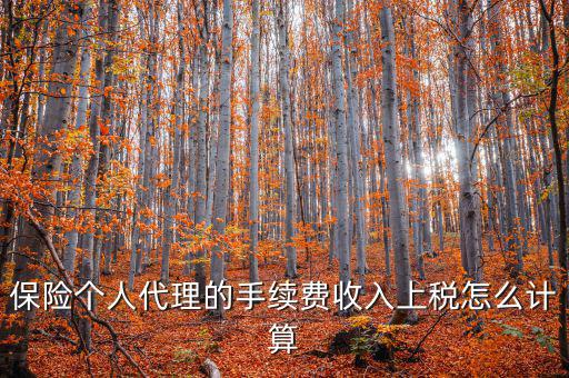 保險(xiǎn)代理員交什么稅，請(qǐng)問(wèn)從車輛保險(xiǎn)代理人的提承里扣的稅是什么稅啊