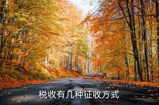 稅務(wù)征非稅采取什么方式，稅務(wù)征收有哪幾種
