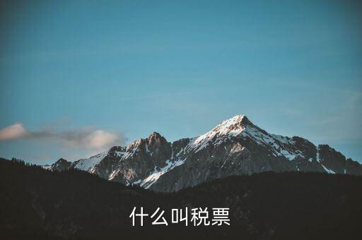納稅稅票是什么，什么叫稅票