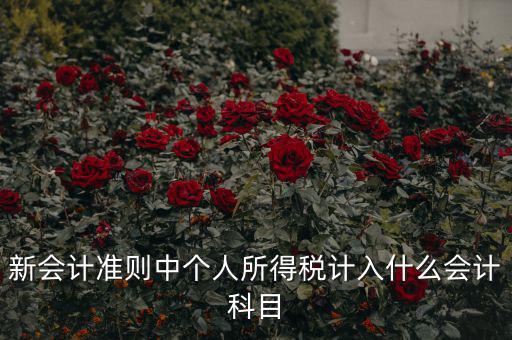 所得稅費(fèi)用什么科目，新會(huì)計(jì)準(zhǔn)則中個(gè)人所得稅計(jì)入什么會(huì)計(jì)科目