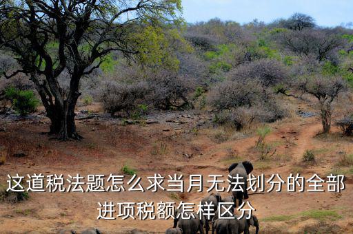 什么叫無法劃分的進(jìn)項(xiàng)稅額，一般納稅人兼營免稅項(xiàng)目或者非增值稅應(yīng)稅勞務(wù)而無法劃分不得抵