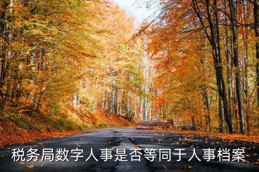 數(shù)字人事國稅是什么，數(shù)字人事第一段怎么劃分