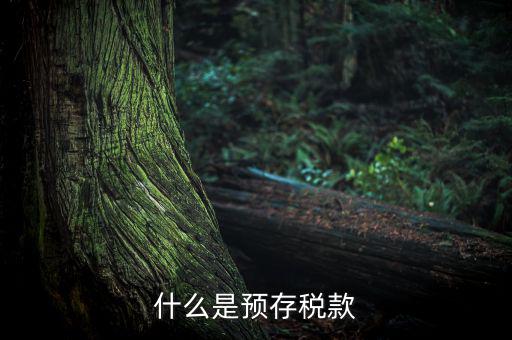 預(yù)繳稅款是什么意思，企業(yè)所得稅年度申報系統(tǒng)初始數(shù)據(jù)的預(yù)繳稅額是什么意思
