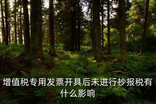 增值稅專(zhuān)用發(fā)票開(kāi)具后未進(jìn)行抄報(bào)稅有什么影響