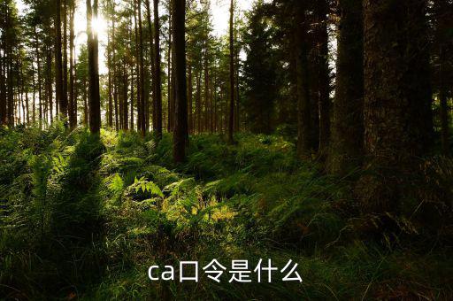 ca證書驗(yàn)證口令是什么，ca口令是什么