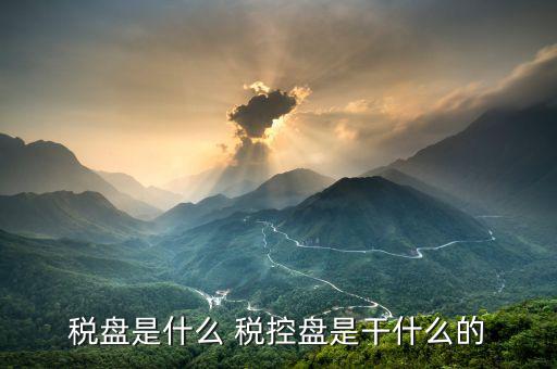 億企贏稅盤是什么，稅盤是什么 稅控盤是干什么的