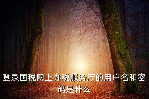 國(guó)稅默認(rèn)賬號(hào)是什么意思，你好我想問(wèn)你 一下 網(wǎng)上國(guó)稅的用戶名和密碼是什么